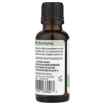 100% Eucalyptus Oil, 1 Fl Oz (30 Ml)