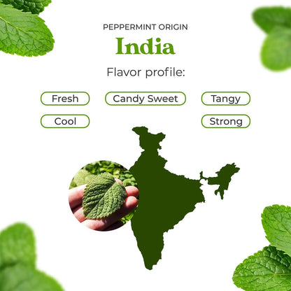 Peppermint Oil 4oz | Pure Essential Oil