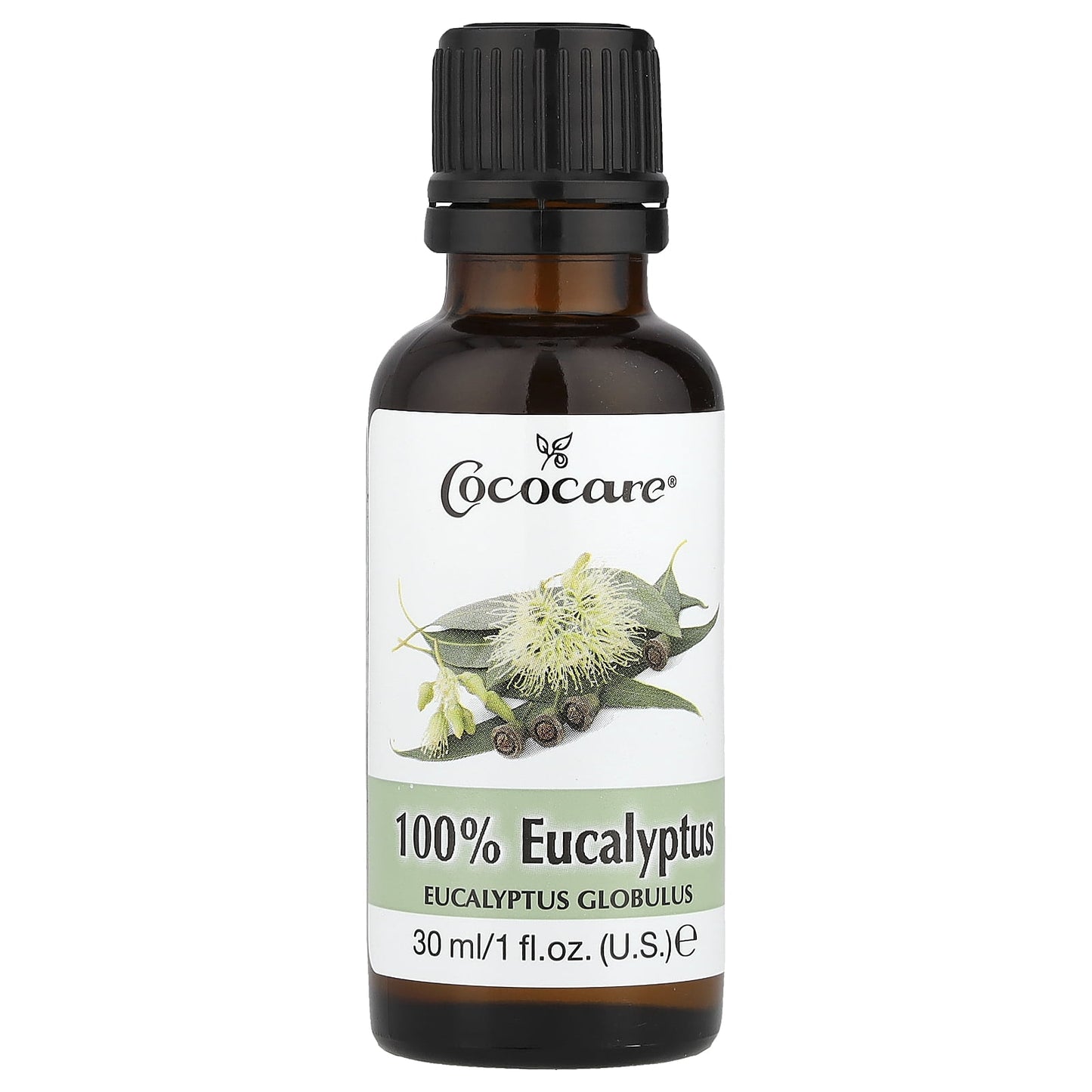 100% Eucalyptus Oil, 1 Fl Oz (30 Ml)
