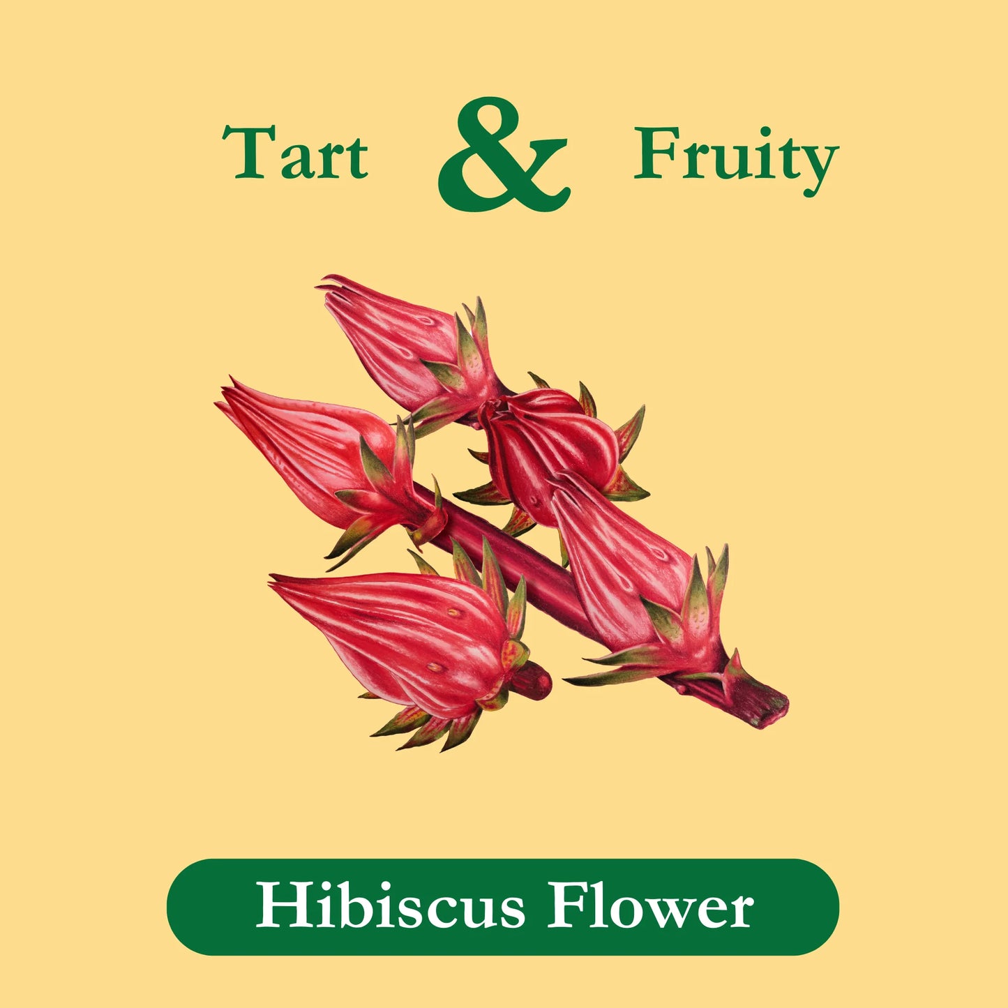 Hibiscus Tea, Herbal Tea Bags, 24 Count