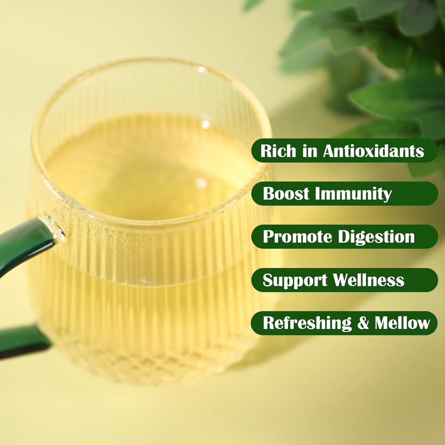 Bitter Melon Tea, 2G X 40 Count 